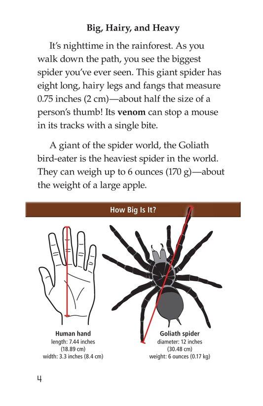 Goliath Bird Eating Spiders Giant Arachnids绘本故事第3页