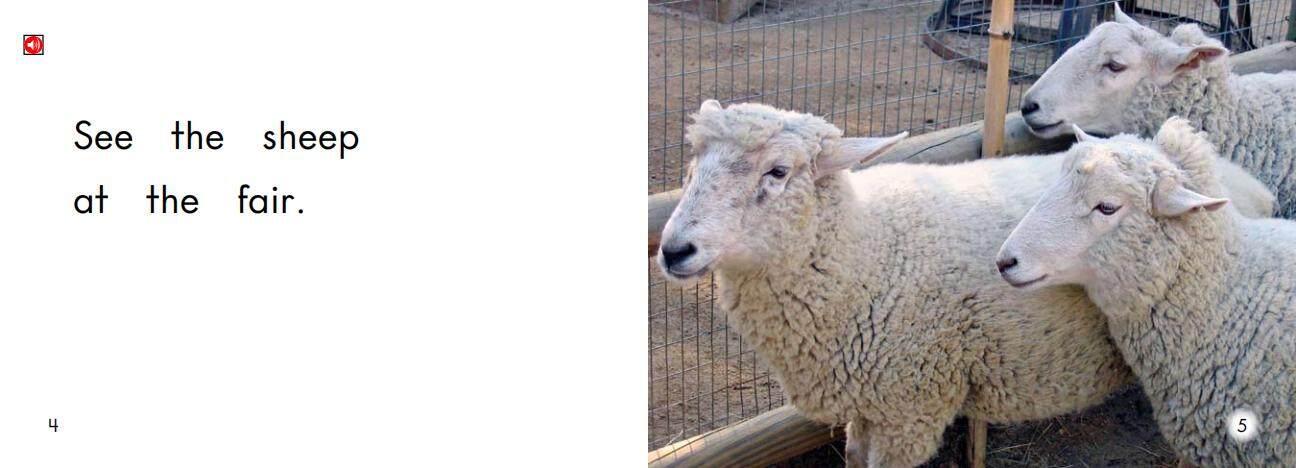 At the Fair绘本故事第4页