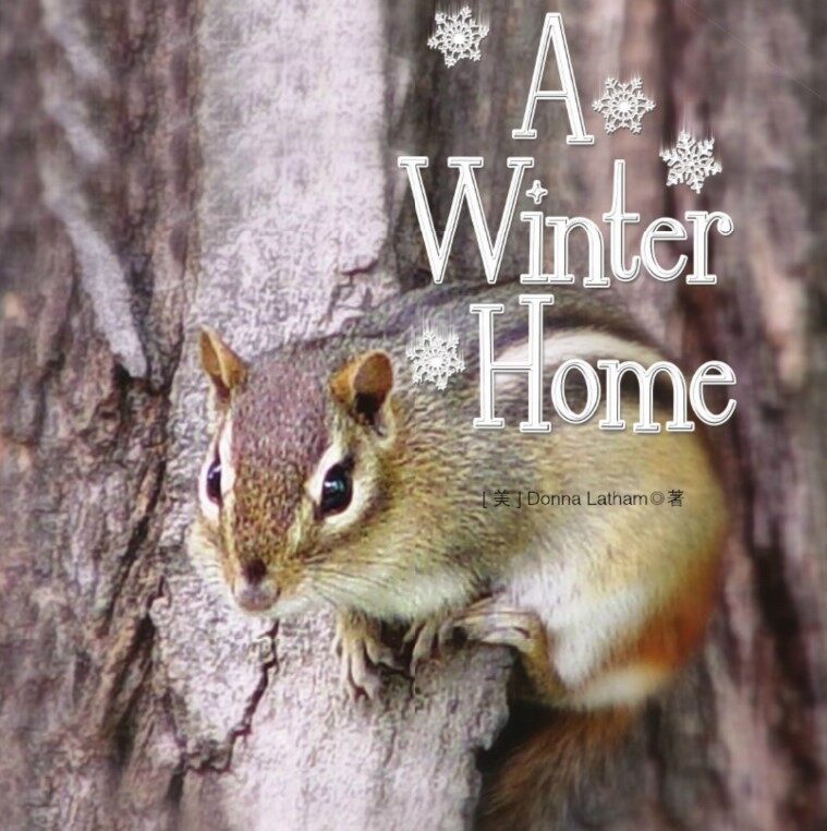 A Winter Home绘本故事第2页
