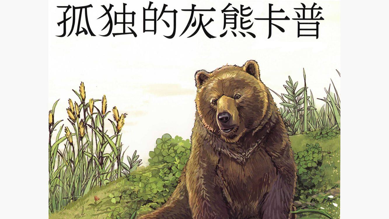 孤独的灰熊卡普绘本故事第2页