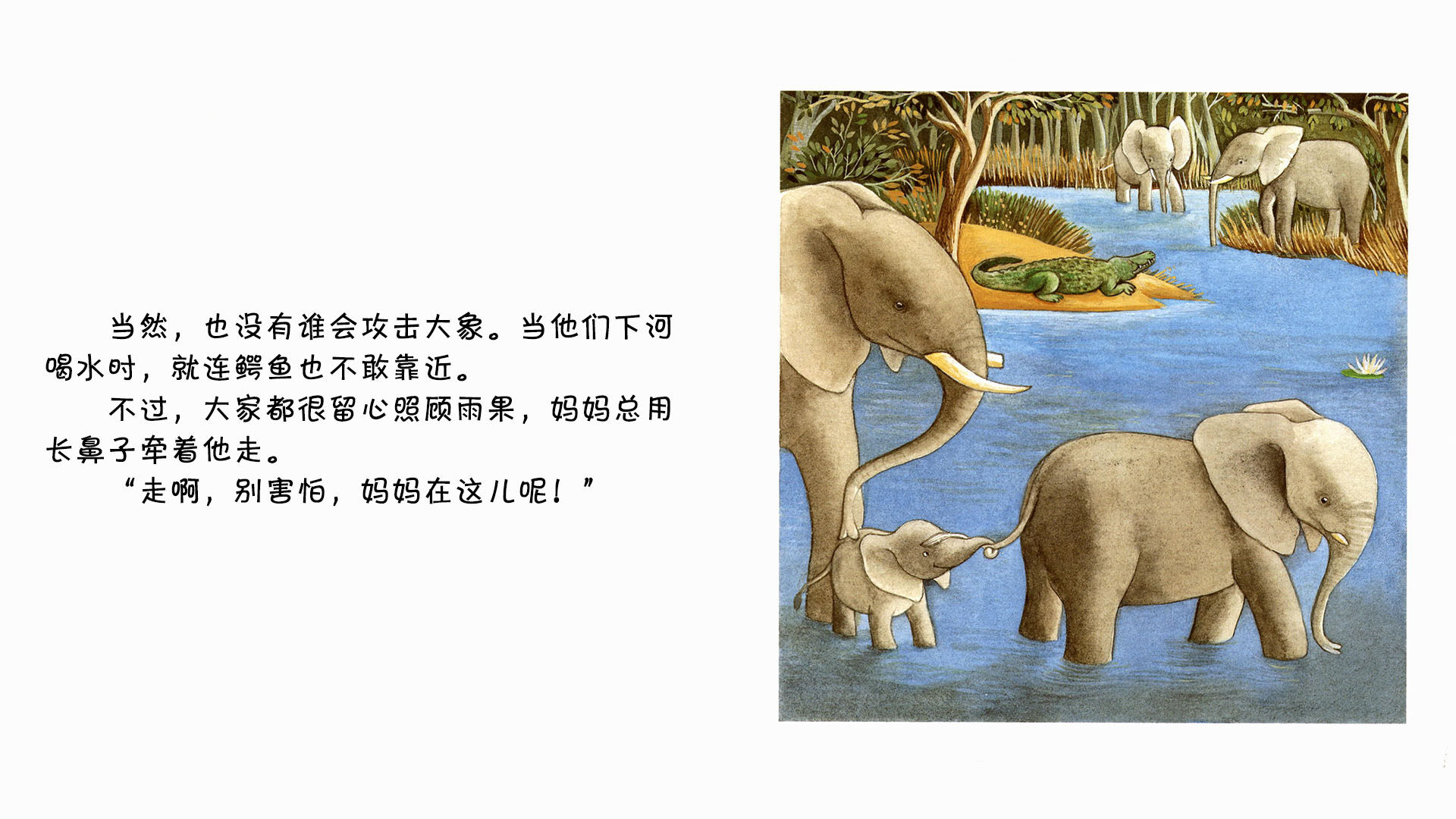 大象绘本故事第5页