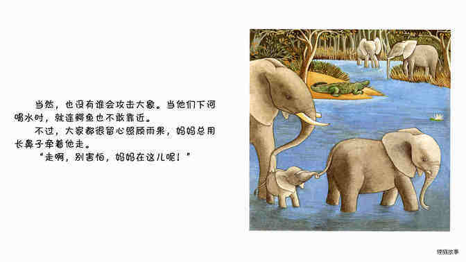 大象绘本故事第5页