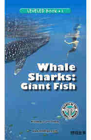 Whale Sharks Giant Fish