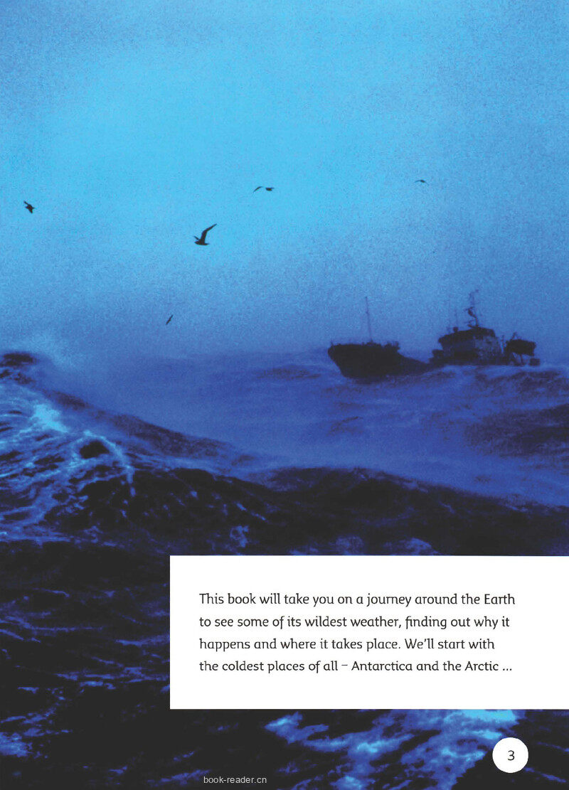 Wild Weather绘本故事第4页