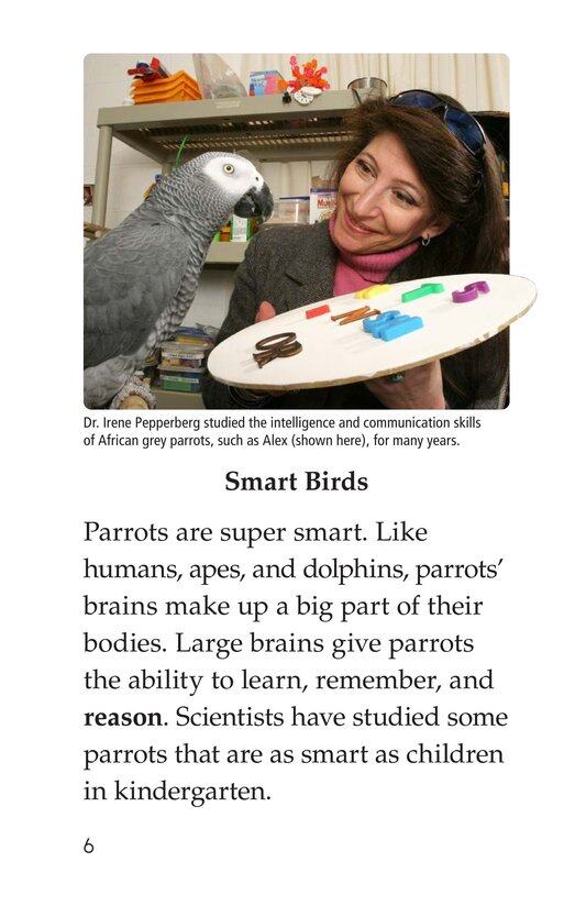 Parrots绘本故事第5页