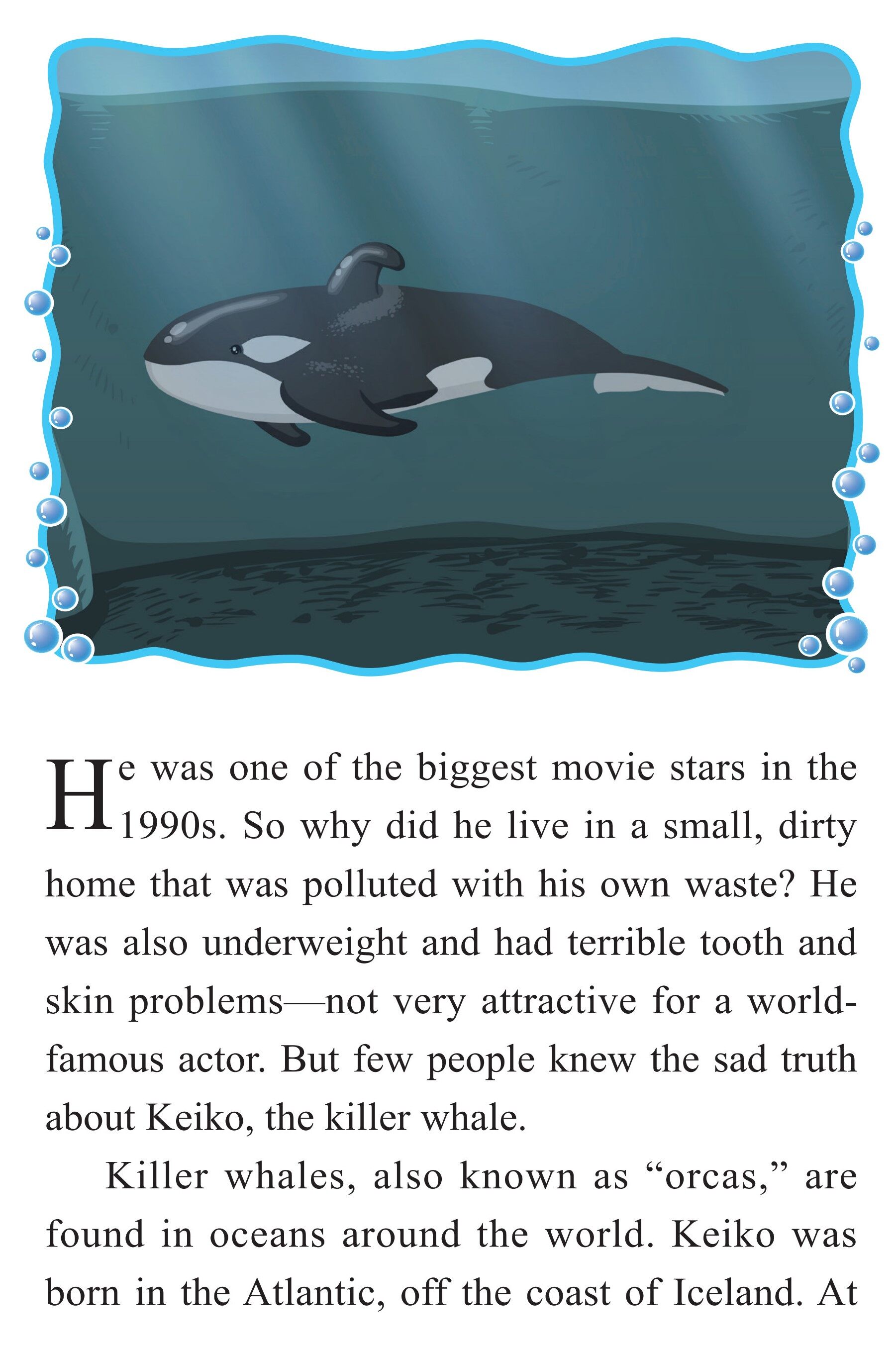 Keiko:A Killer Whale's Journey to Freedom绘本故事第3页