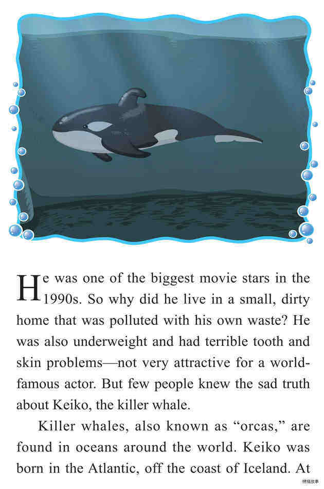 Keiko:A Killer Whale's Journey to Freedom绘本故事第3页