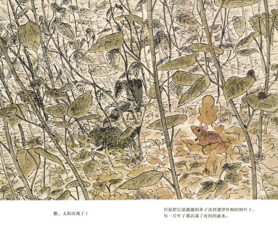 森林绘本故事第3页