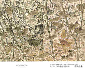 森林绘本故事第3页