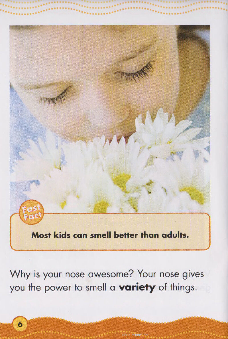 Your Mouth and Nose绘本故事第5页