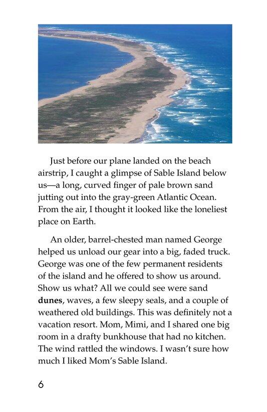 Born on Sable Island绘本故事第5页