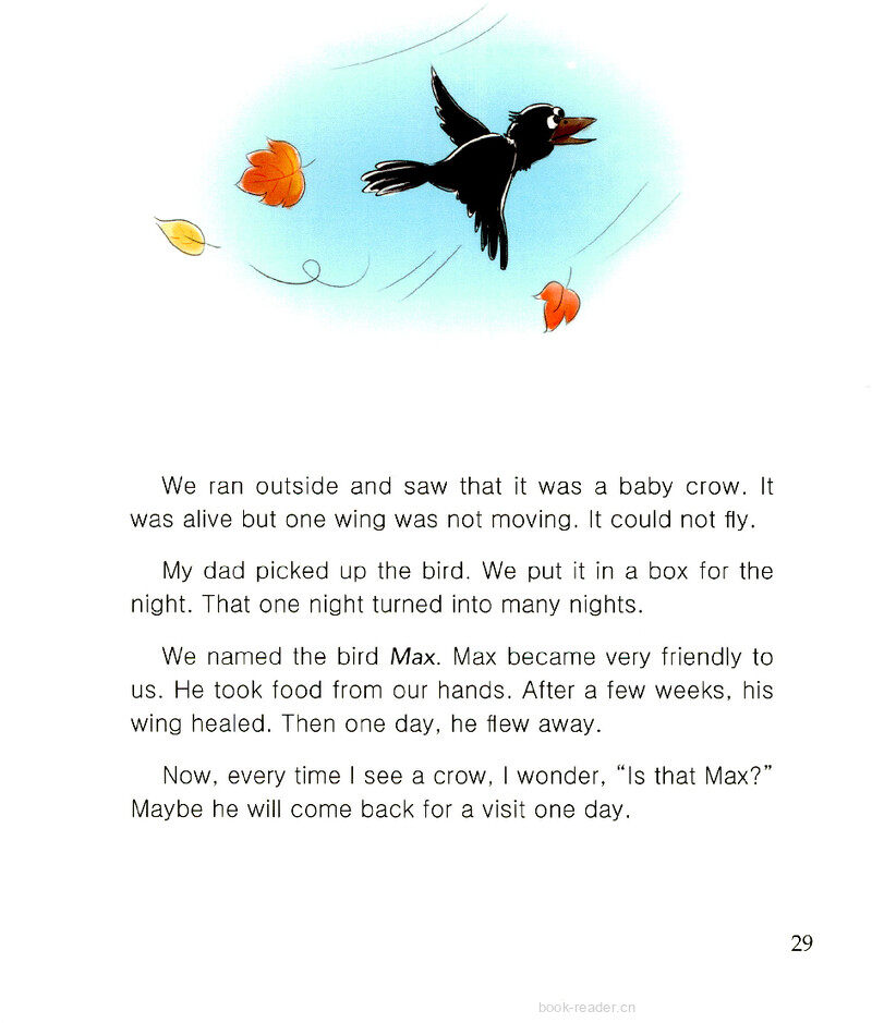 Our Little Friend绘本故事第3页