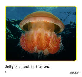In the Sea绘本故事第5页