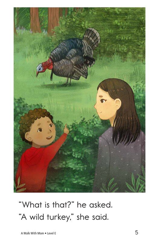 A Walk With Mom绘本故事第5页