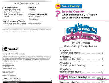 G1 Bey U2W2 City Armadillo, Country Armadillo绘本故事第3页