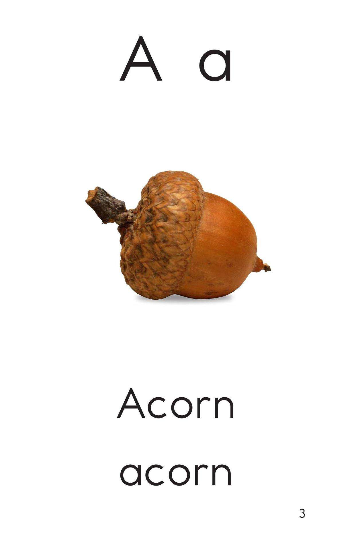 Letter A绘本故事第3页