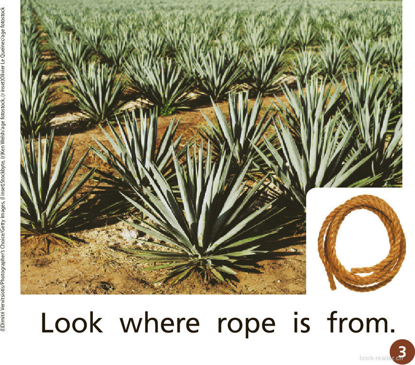 GK Approach U09W3 Look Where It Is From绘本故事第4页