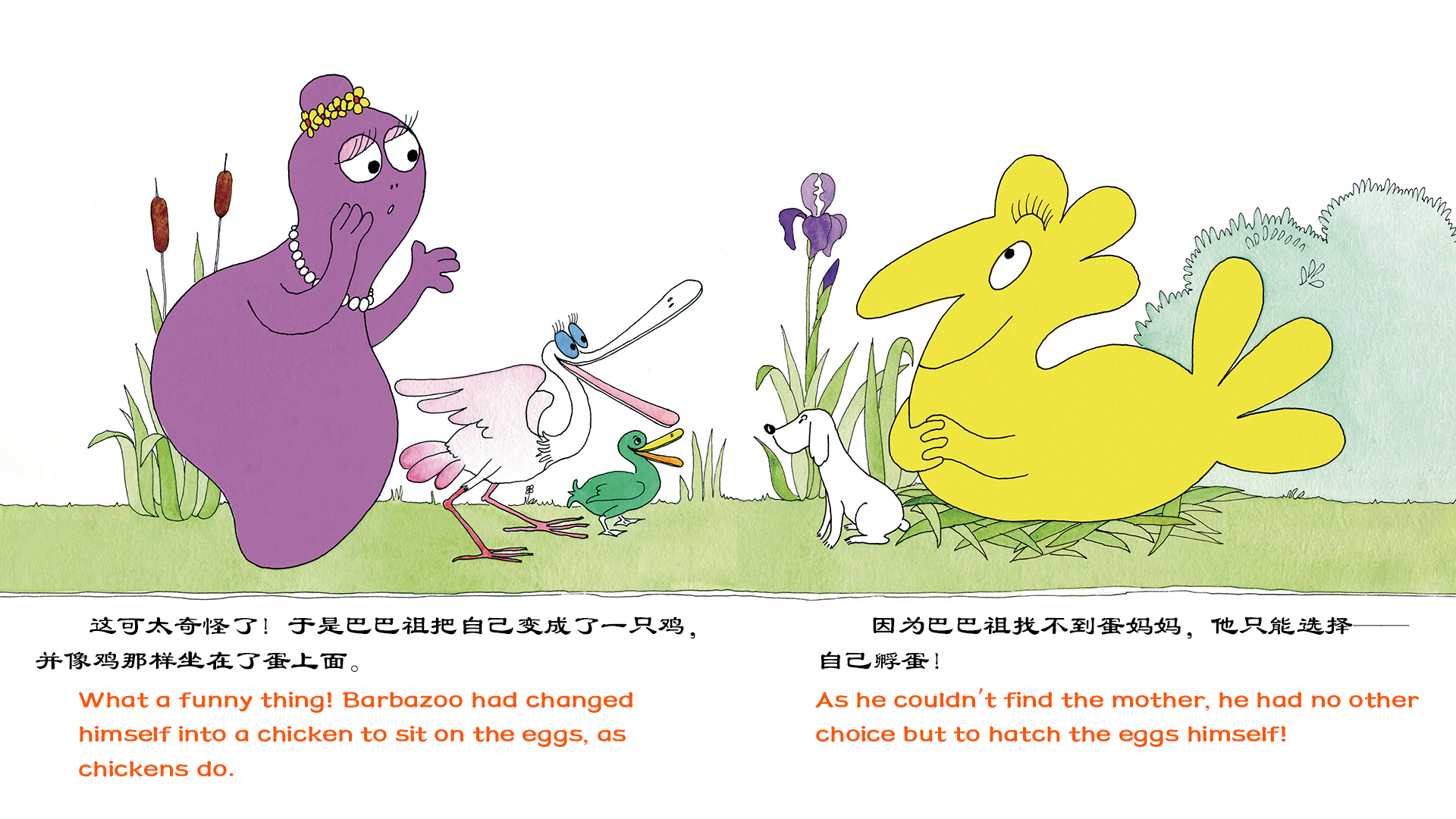 巴巴祖孵小鸡（双语）绘本故事第5页