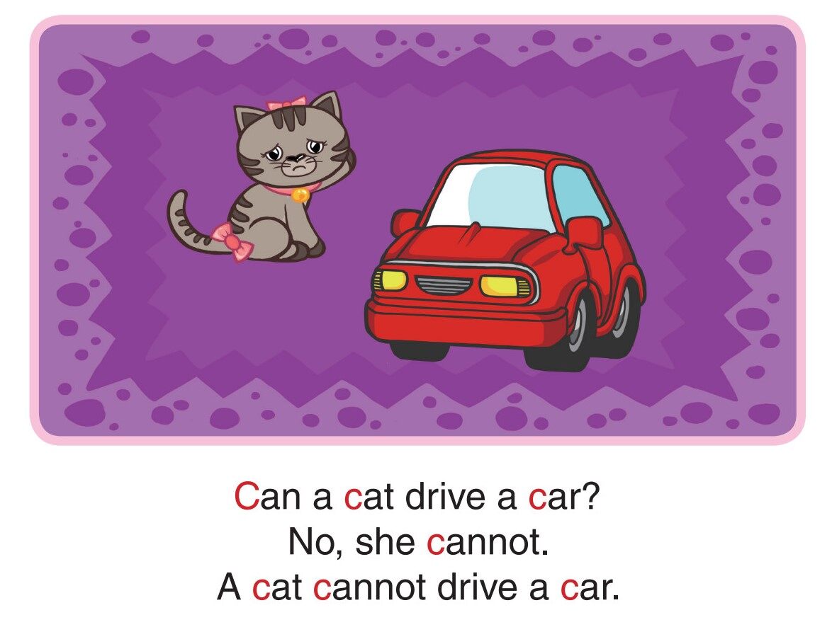 'C' words -  Can a Cat Bake a Cake绘本故事第4页