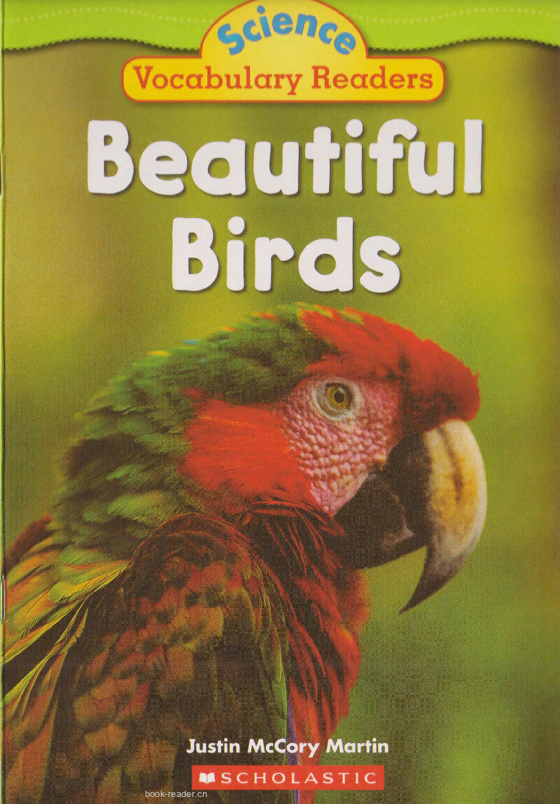 Beautiful Birds绘本故事第2页