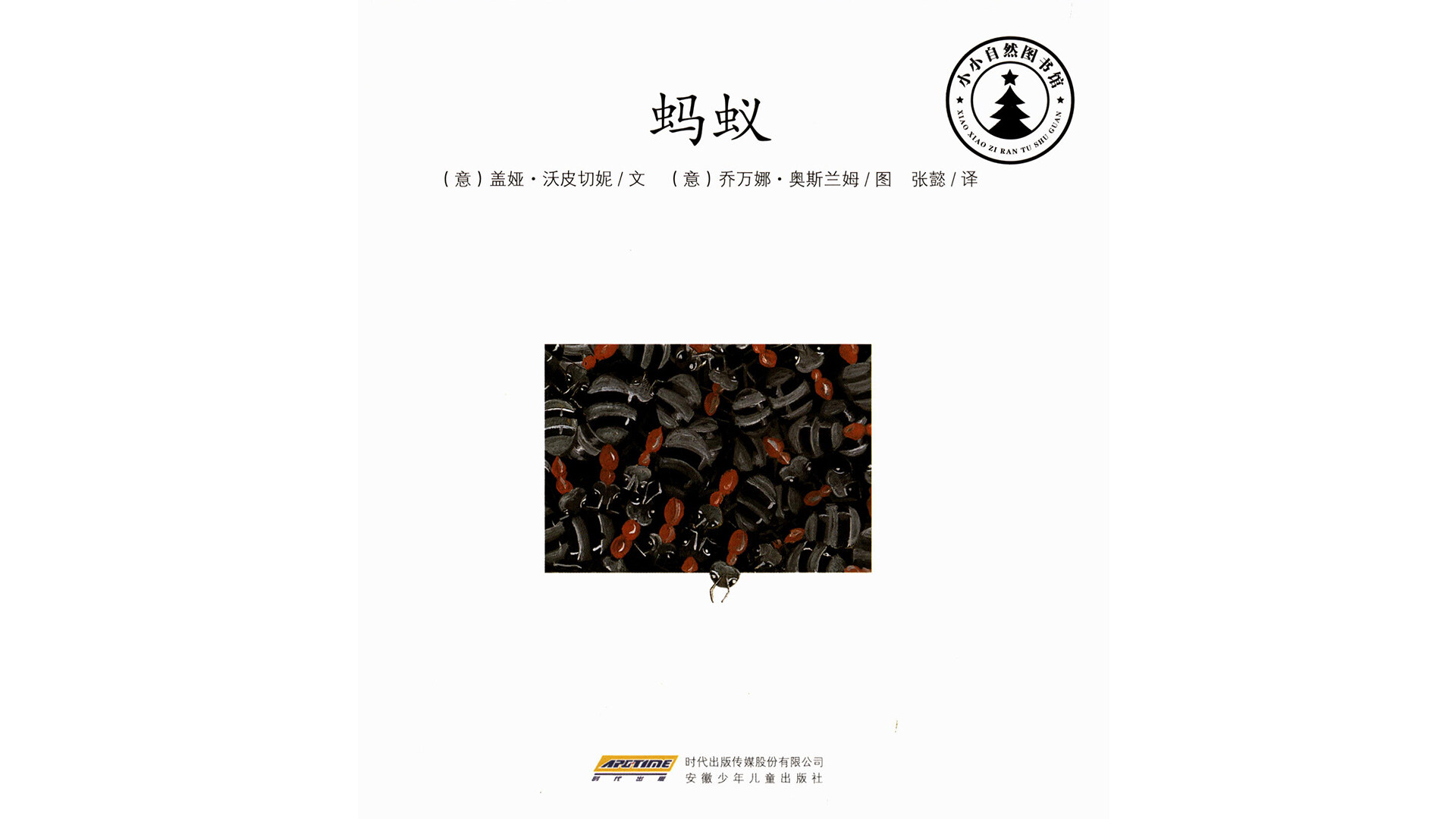 蚂蚁绘本故事第2页