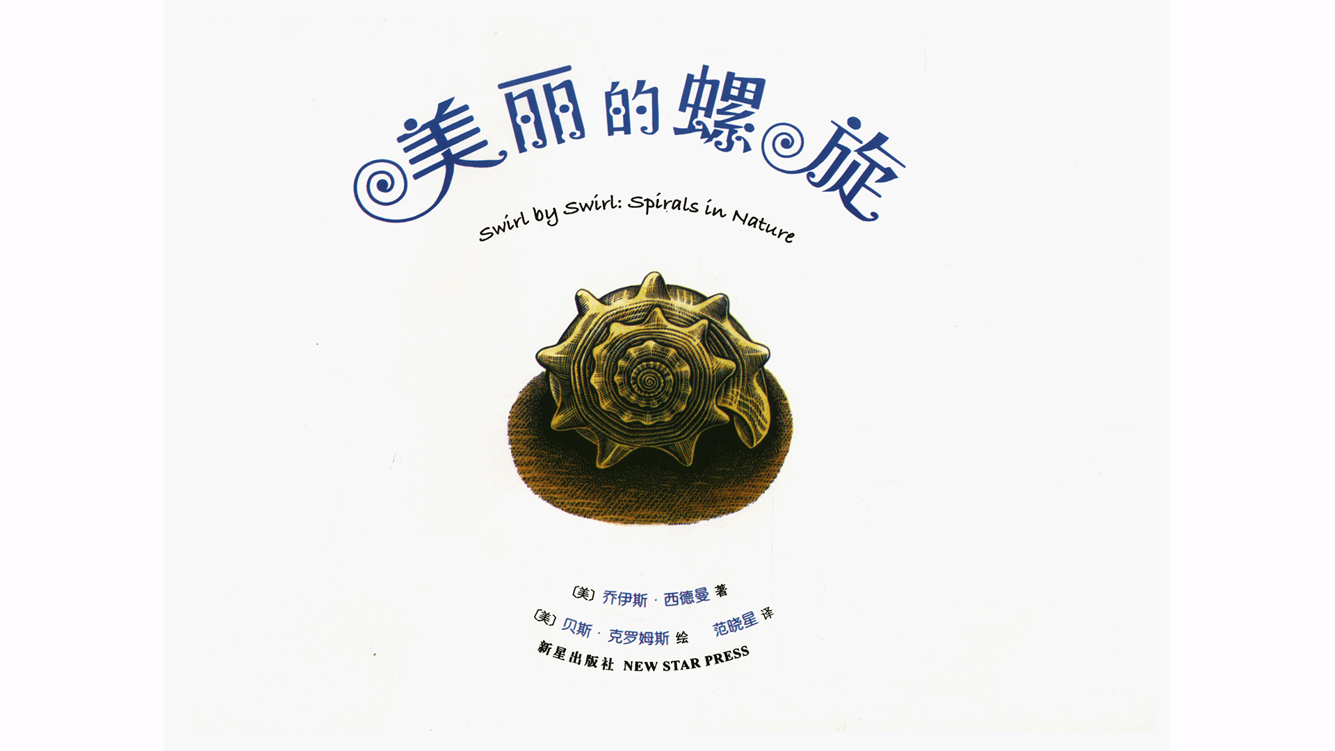 美丽的螺旋绘本故事第2页