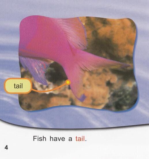 Fish facts绘本故事第4页