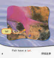 Fish facts绘本故事第4页
