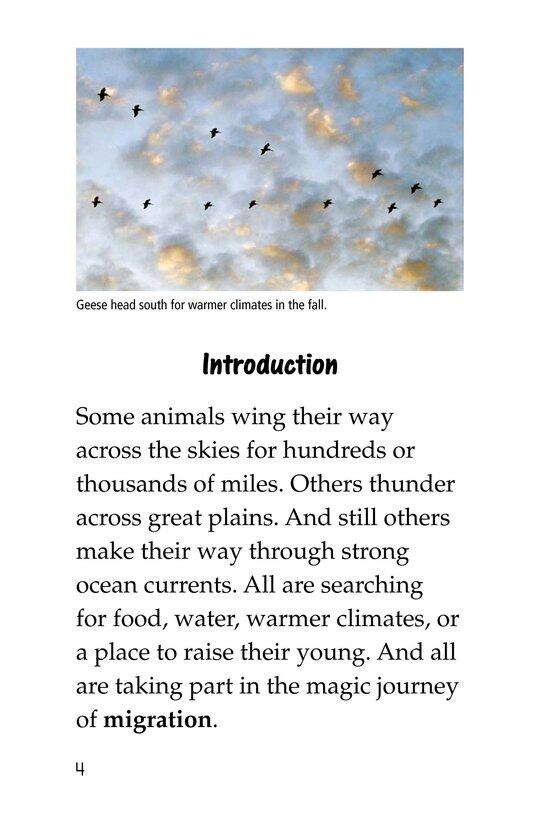 The Magic of Migration绘本故事第3页