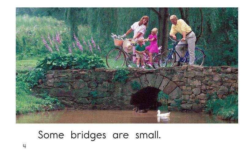 Bridges绘本故事第4页