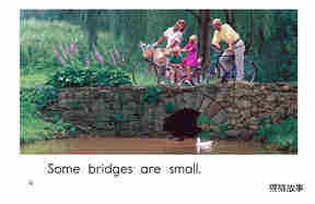 Bridges绘本故事第4页
