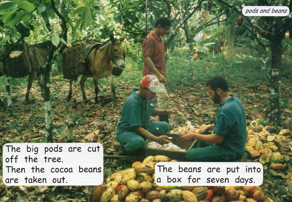 the chocolate  factory绘本故事第4页