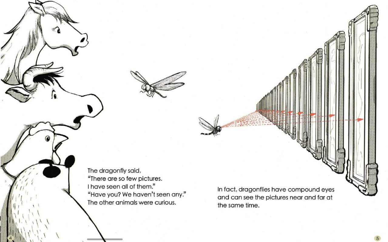The World Through the Eyes of animals 绘本故事第4页