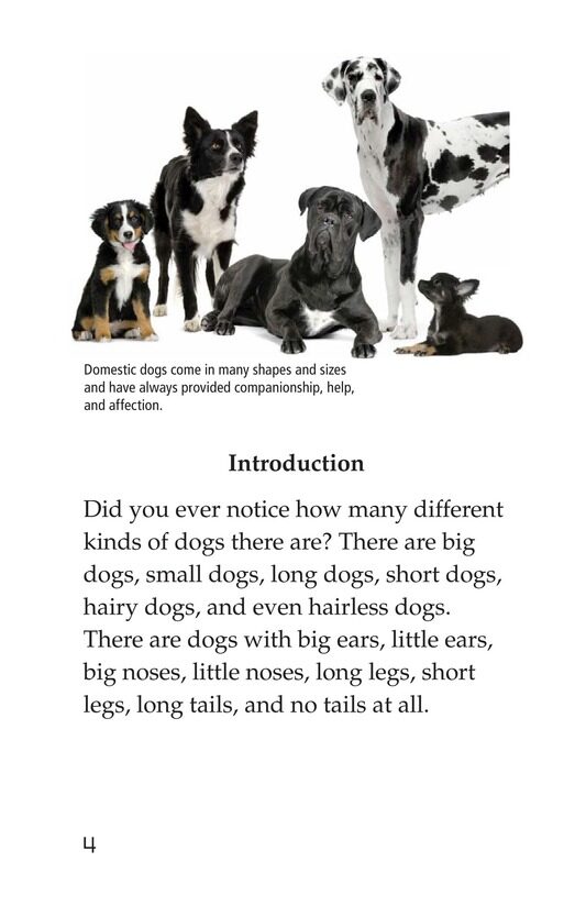 Breeds of Dogs绘本故事第3页