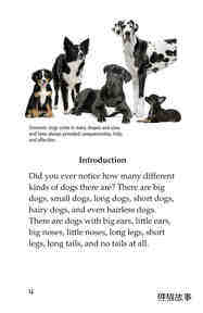 Breeds of Dogs绘本故事第3页