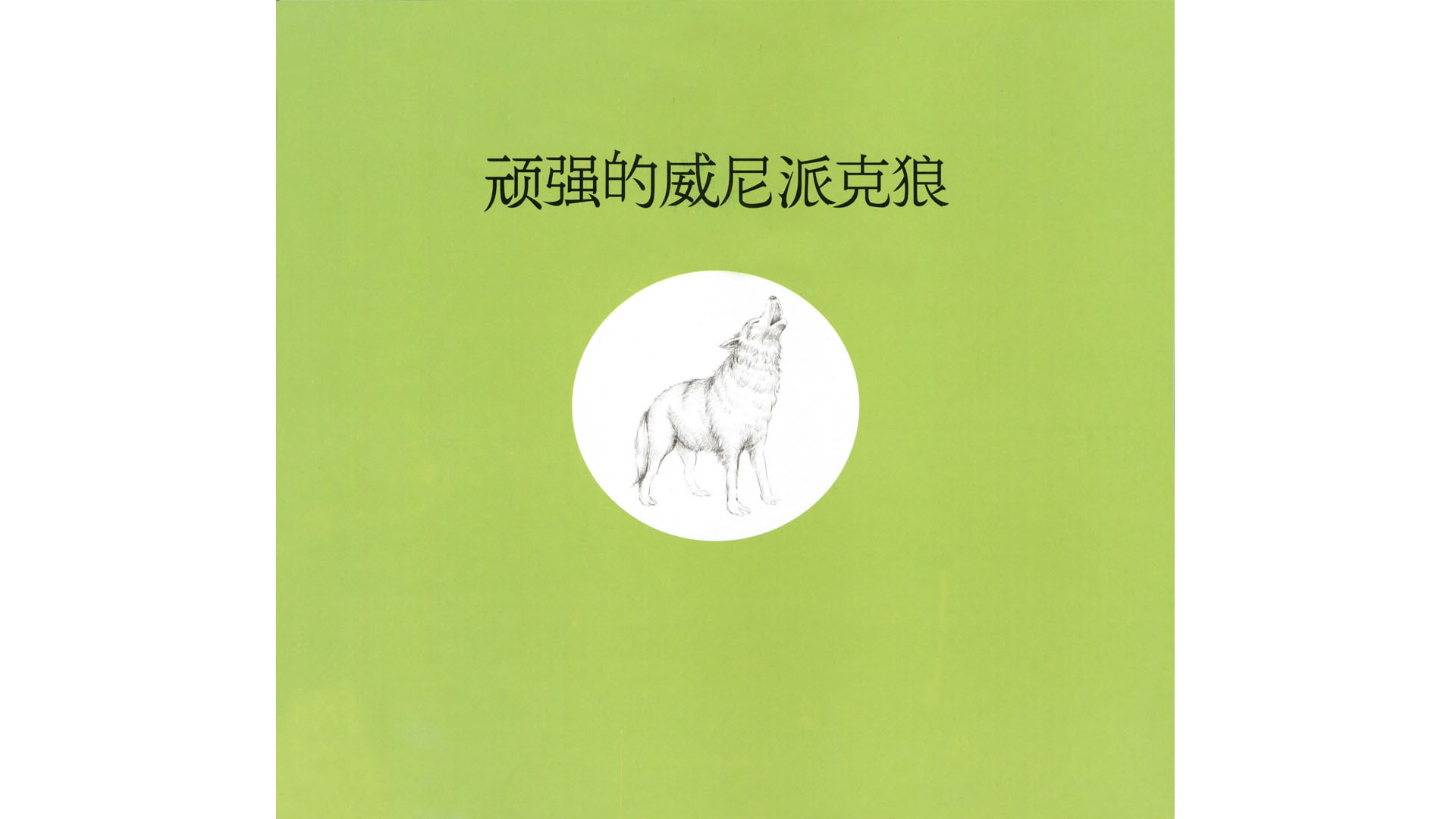 顽强的威尼派克狼绘本故事第3页