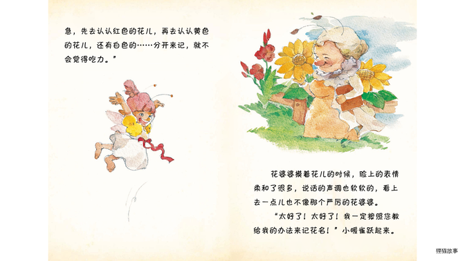 记花名太难了绘本故事第5页