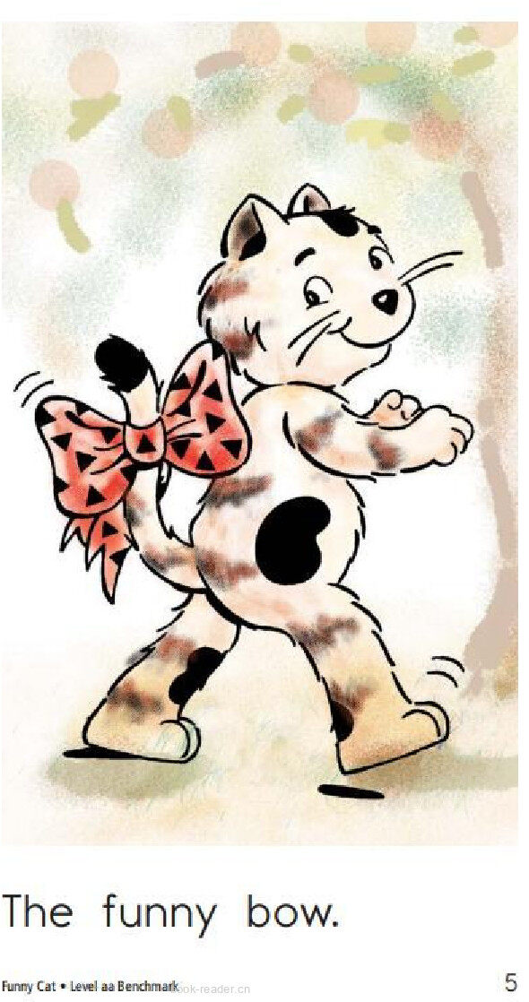 Funny Cat绘本故事第5页