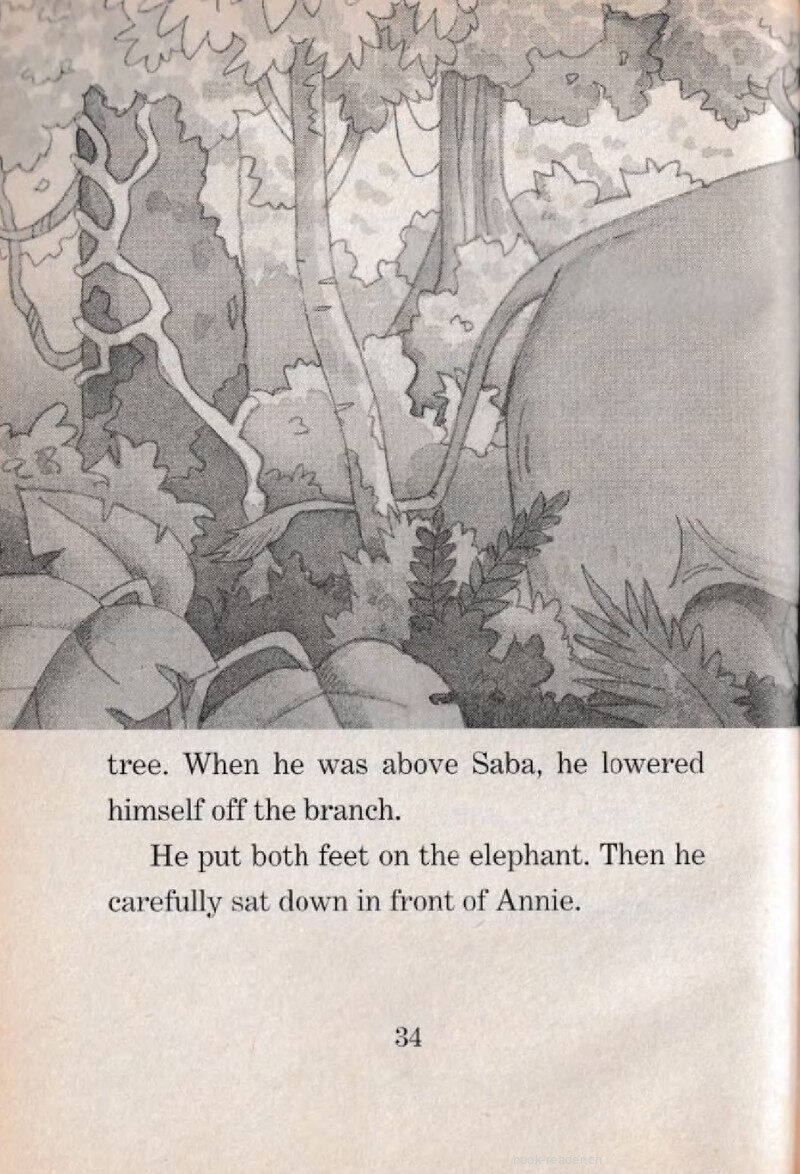 05 Night Walk绘本故事第4页