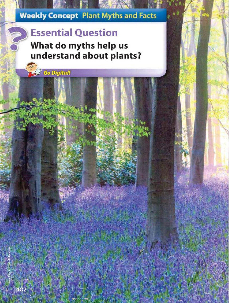 G2 Unit 6 Week 1绘本故事第5页