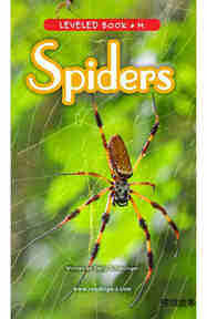 Spiders