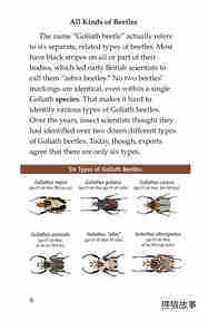 Goliath Beetles Giant Insects绘本故事第5页