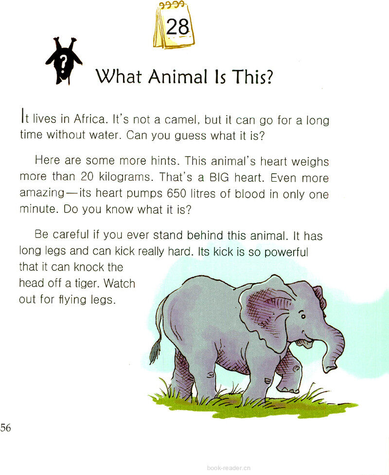 What Animal Is This?绘本故事第2页