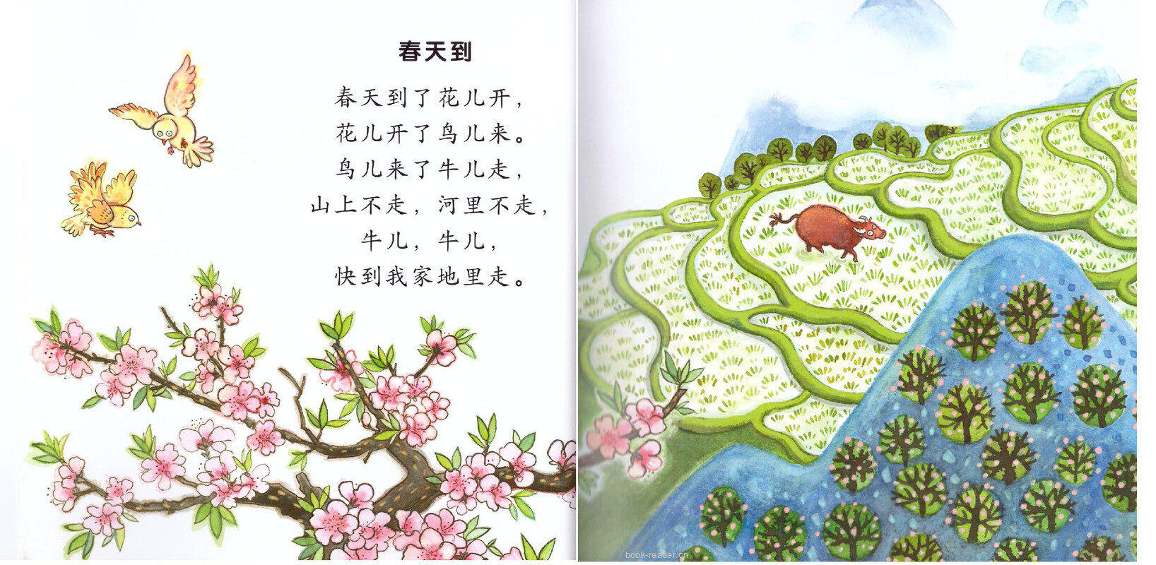 春天到绘本故事第3页