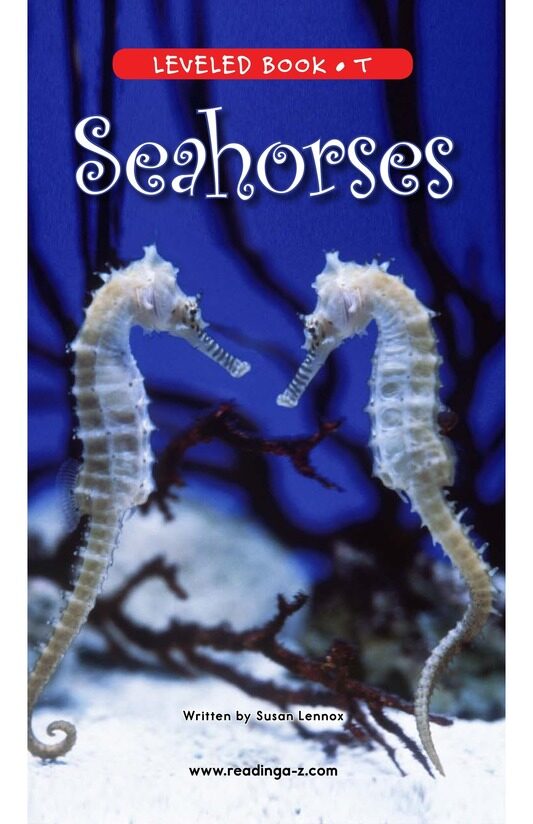 Seahorses绘本故事第2页