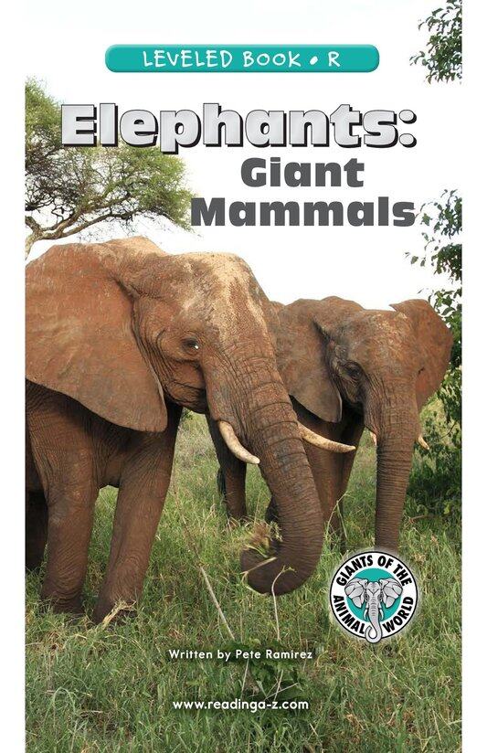 Elephants Giant Mammals绘本故事第2页