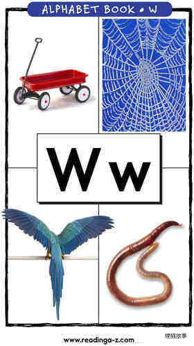 Letter W