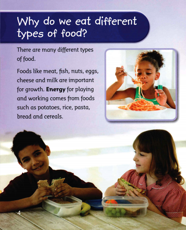 The Digestive System绘本故事第5页