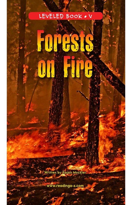 Forests on Fire绘本故事第2页