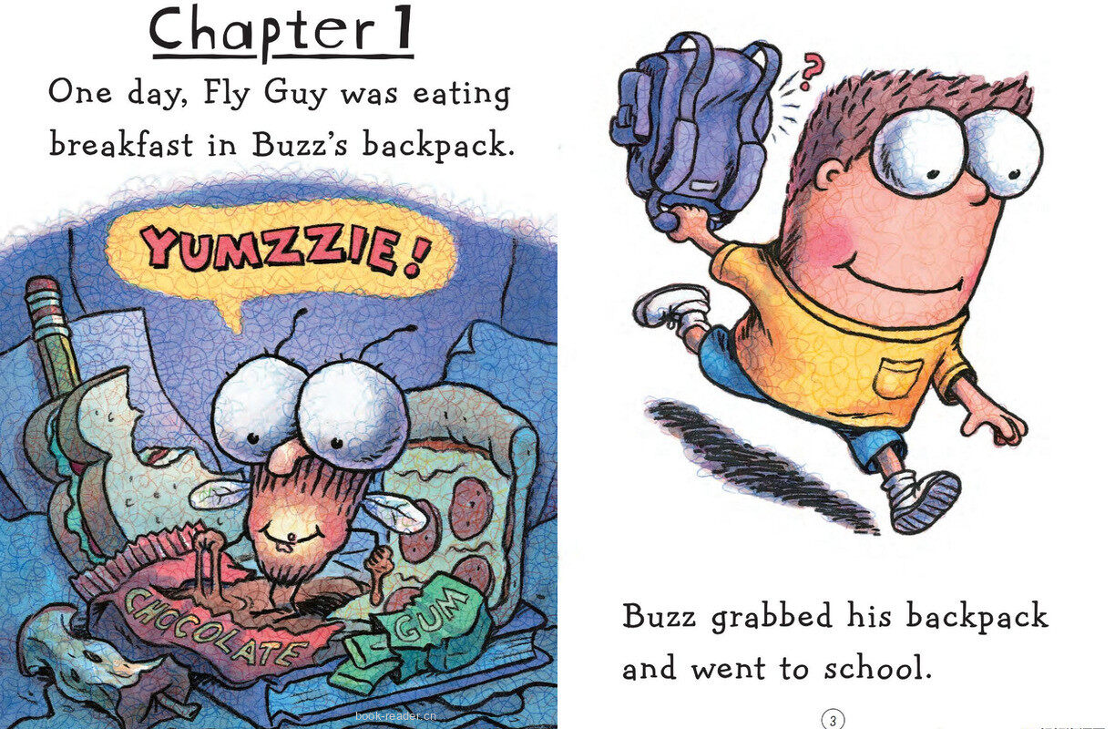 Fly Guy vs. The Flyswatter绘本故事第4页